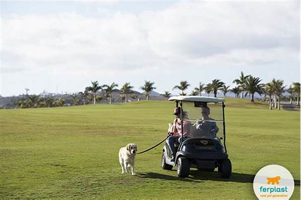 Pet-friendly Golf Club Facilities