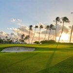 Scenic Fairways In Hawaiian Islands