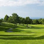 Sustainable Practices In Golf Design