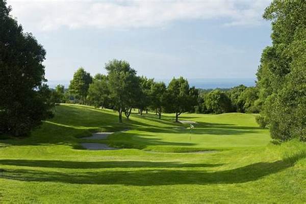 Sustainable Practices In Golf Design