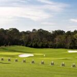 Four-season Golf Course Play