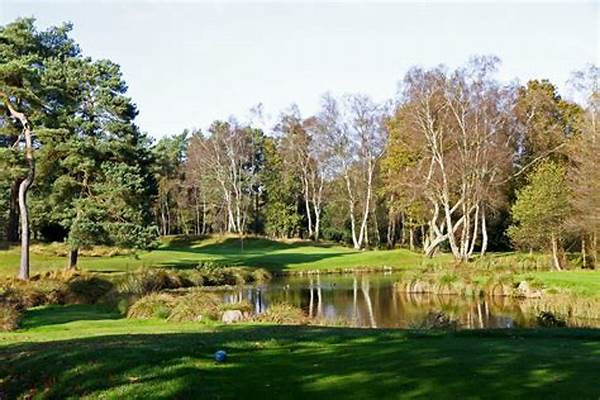 Golf Tourism In London’s Region