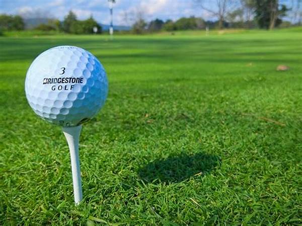 Low-cost Golf Tee Times Available