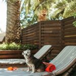 Premium Pet-friendly Golf Accommodations