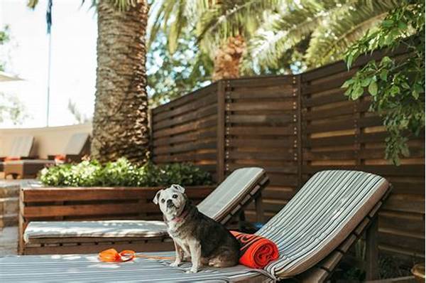 Premium Pet-friendly Golf Accommodations