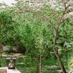 Serenity Found On The Green