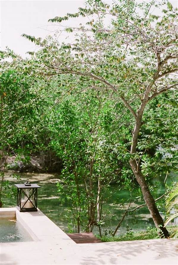 Serenity Found On The Green