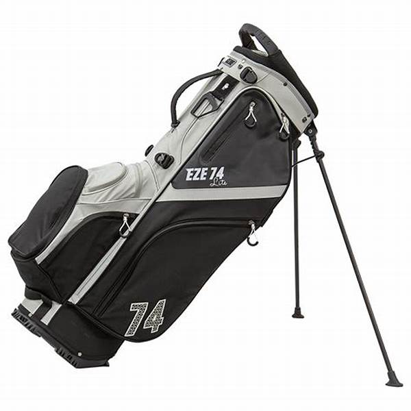 Cheap Golf Bags For Starters