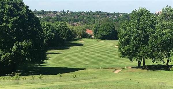 Top-rated Golf Clubs In London