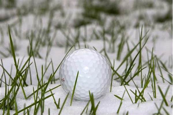 Winter Season Golf Options