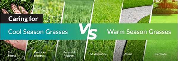 Economical Cold Season Golf Packages